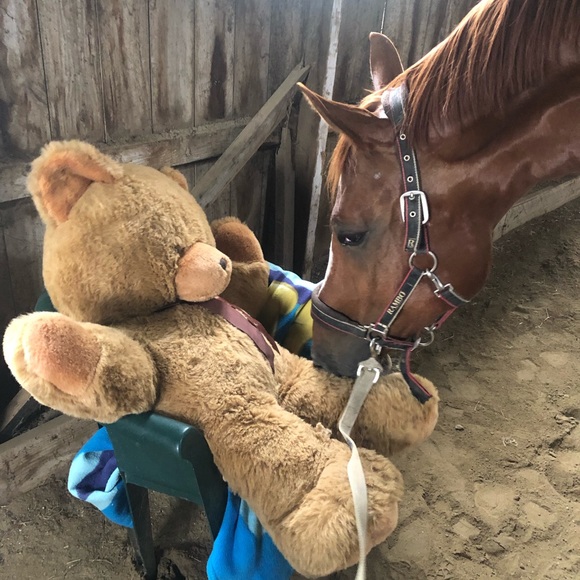 Meet your Posher, Gail - Picture 3 of 14